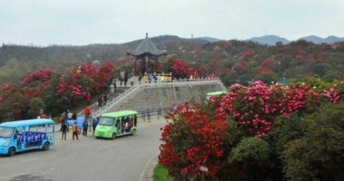 畢節(jié)市百里杜鵑管理區(qū)入圍第四批全國旅游標(biāo)準(zhǔn)化試點(diǎn)單位