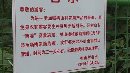再過5天,樹山楊梅上市!果實(shí)很誘人,但請不要隨意采摘哦