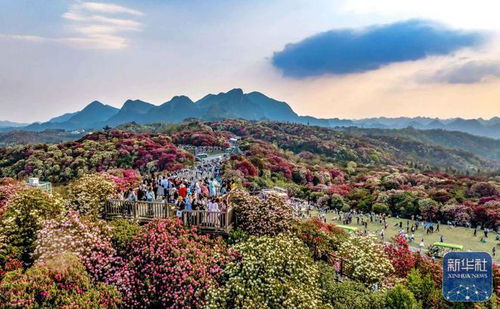 詩(shī)意中國(guó)丨春日上春山 文旅融合背景下的景區(qū)管理新思考